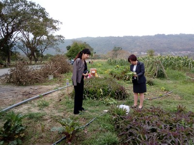 區公所貴賓仔細瞭解菜園種植種類